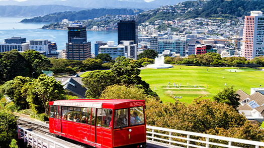 WELLINGTON